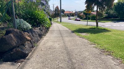 Even in Melbourne's leafy councils, some suburbs are battling to find the shade