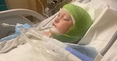 Boy, 11, dragged from bike and has scalp ripped off in attack by three pit bulls