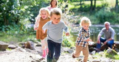 Dad shares brilliantly simple tip for encouraging toddlers to walk on family days out