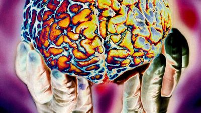 Archives: February 2023