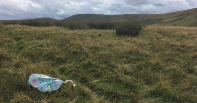 Wildlife charity condemns balloon releases after plea to find alternative ways to remember loved ones