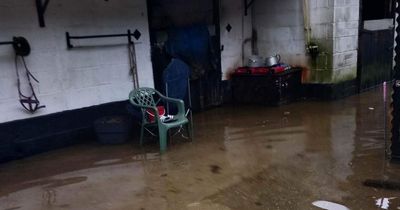 'My stables are flooded and there are condoms and human faeces floating around'
