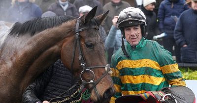 New JP McManus purchase made favourite for Cheltenham race after win