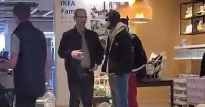 Scots Ikea shoppers left confused after 'human dogs' being walked through store