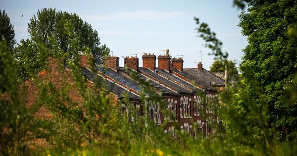 'Dad left, mum turned to drink, we were torn apart - all because of a serial rapist who must never be set free'