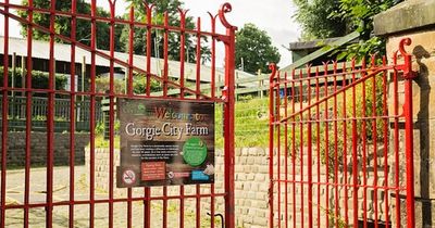 Edinburgh residents set to gather for vigil in attempt to save beloved Gorgie Farm