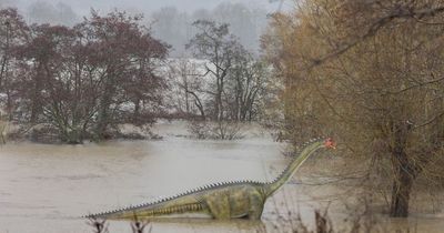 Dinosaur spotted in River Avon near Bristol