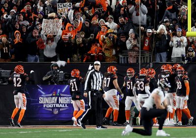 Bengals hang on as Ravens’ last gasp falls to turf