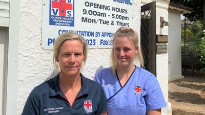 South Australia's Clare Valley Veterinary Services to close Jamestown clinic after abuse