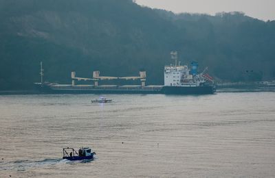 Cargo ship from Ukraine grounded in Bosphorus strait, traffic halted