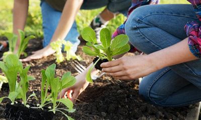 If plants are so intelligent, should we stop eating them?