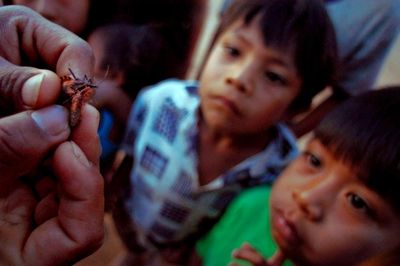 ‘The silent disease’: Chagas is a killer. Now carriers want their voices heard