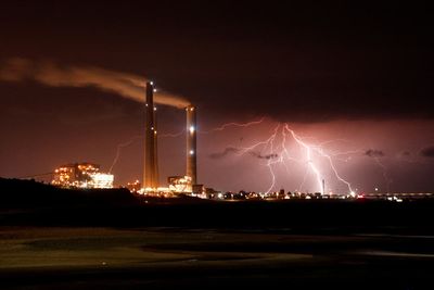 Pictures of the week: Brazil Congress attack, cuddling calves and electrifying lightning strikes