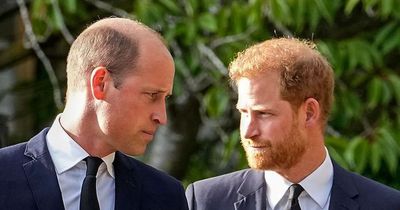 Prince Harry peace talks could take place with royal family before coronation