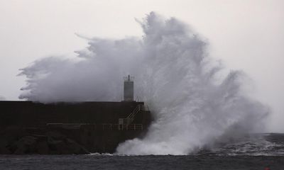 Weather tracker: Europe’s warm January weather to continue