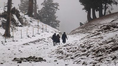 Weather Update: Temp Drops Further In Kashmir, Gulmarg Recorded Season’s Lowest Minus12.0 D Cel