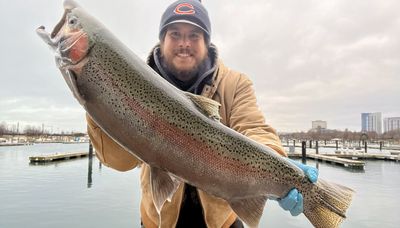 Rare double-striped steelhead caught on the Chicago lakefront