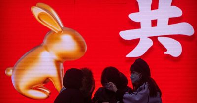 Chinese Year of the Rabbit and what you can expect in 2023 depending on your animal sign