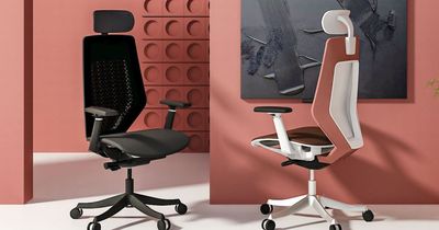 Flexispot BS11 Pro is the perfect chair for the home office