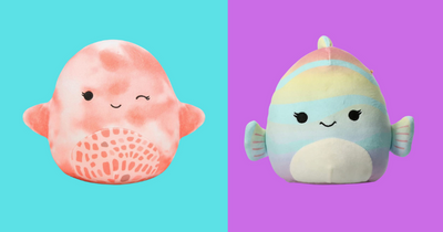 Amazon slashes a massive 55% off this Squishmallow toy and it's now just £9