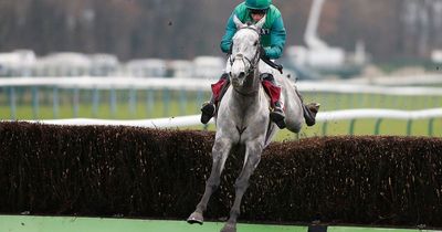 Bristol De Mai among 13 entries in the Peter Marsh Chase at Haydock Park