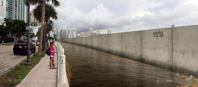 Coastal residents fear ‘hideous’ seawalls will block waterfront views