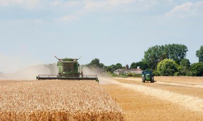 Why is the surname Farmer so uncommon when there were large numbers of farmers for so long?