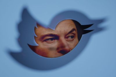Elon’s Twitter ripe for a misinformation avalanche