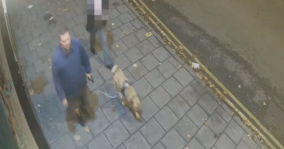 Police hunt for 'man with dog' after Bristol robbery which left victim with facial injuries