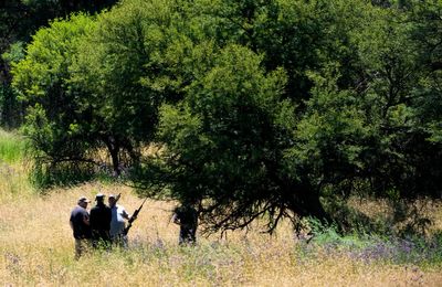 South Africa: Search on after tiger escapes, attacks man