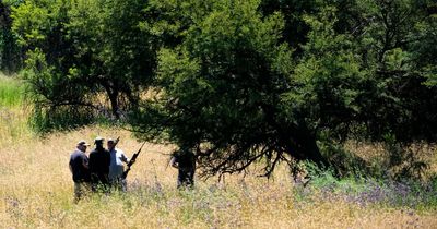 Tiger kills dog and mauls man after escaping from enclosure at private farm