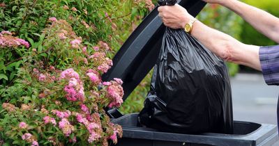 Vale of Glamorgan Council to go to one bin bag collection every three weeks
