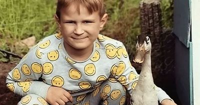 Pet duck that drinks tea, chases binmen and walks to shops wins fans across world