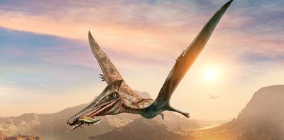 Fossil study brings us one step closer to revealing how 'flying dinosaurs' took flight