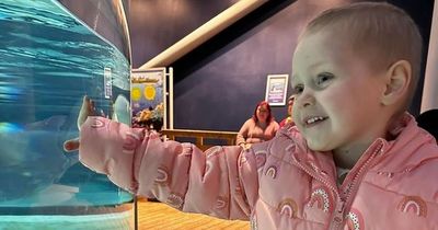 Heartbreak as girl, 3, given months to live after second cancer diagnosis