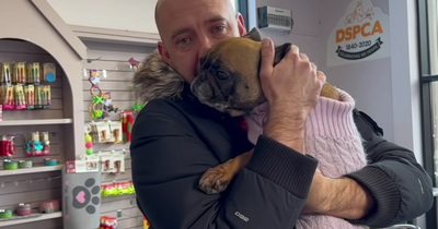 DSPCA reunites family with beloved pet two years after disappearance