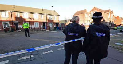 Woman in serious condition after 'machete' attack as man remains in custody