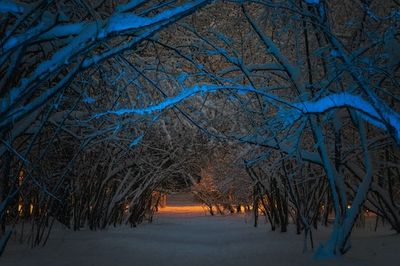 Why is January so dark and cold? Here’s the truth about winter’s gloomiest days
