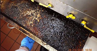 Stomach churning photos show inside Chinese takeaway hit with £6,000 health risk fine