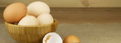 Kentucky egg production industry expanding in multiple ways