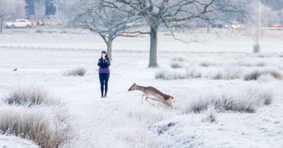Snow maps show swathes of UK to be affected - hour by hour forecast as warnings issued
