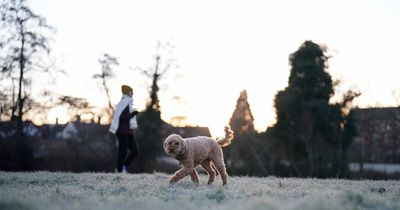 Met Office weather warnings as country sees coldest night of year