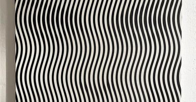 Only people with 'high IQ' can solve optical illusion and spot hidden woman