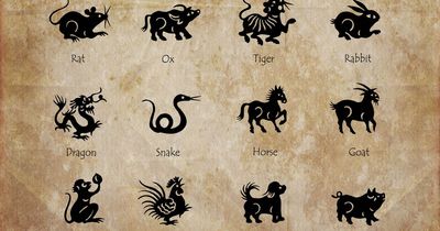 Find out your Chinese Zodiac sign with this handy gadget