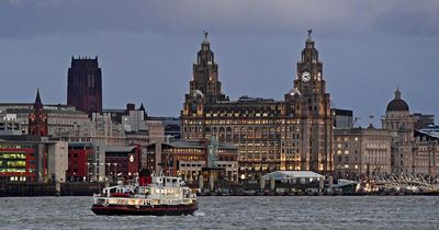 People say the Mersey is the 'cleanest its ever been' as sharks found in river