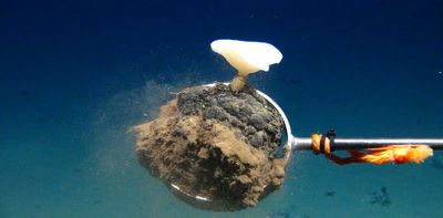 Deep seabed mining plans pit renewable energy demand against ocean life in a largely unexplored frontier