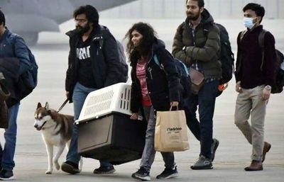 DGCA Allows Airlines To Form Their Own Policies On Pets Carriage