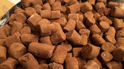 Report: Our Interest In Chocolate May Be Linked To What It Does To Our Tongue