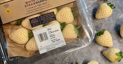 Marks and Spencer customers horrified at £4 'strawberry in reverse' snack