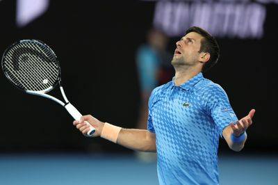 Djokovic savours reception 'I could only dream of' at Australian Open